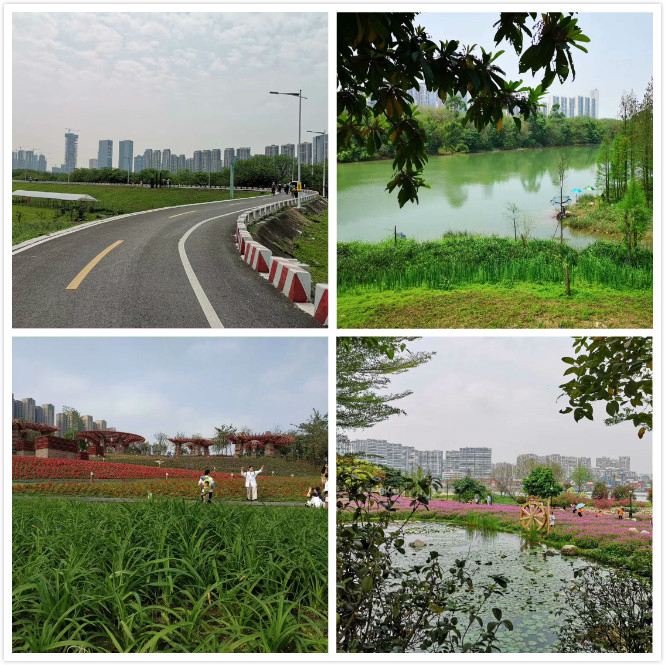 中国·9091美高梅(股份)有限公司-官方网站