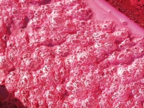 炮纸厂制浆起泡，，，试试这款消泡剂